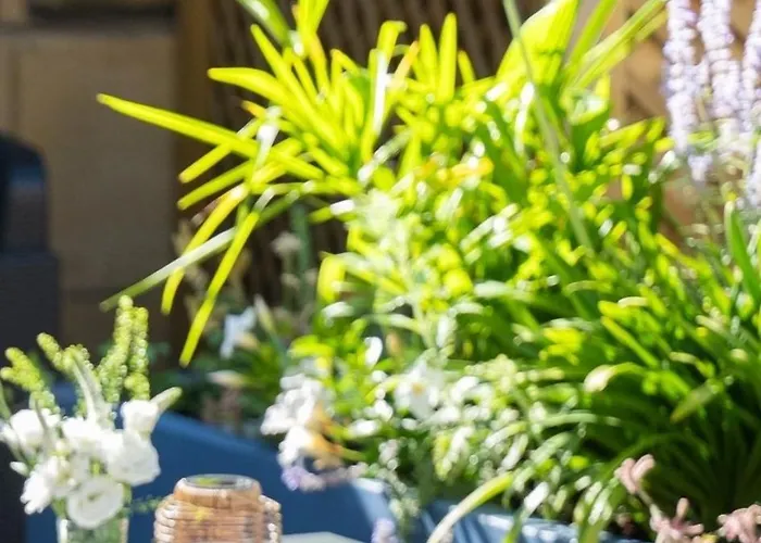 Chateau Des Jacobins 3* أجان