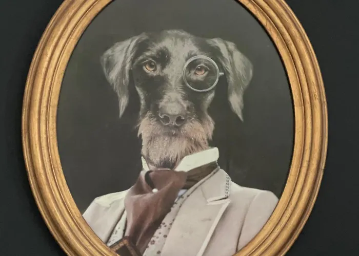 מלון Chateau Des Jacobins